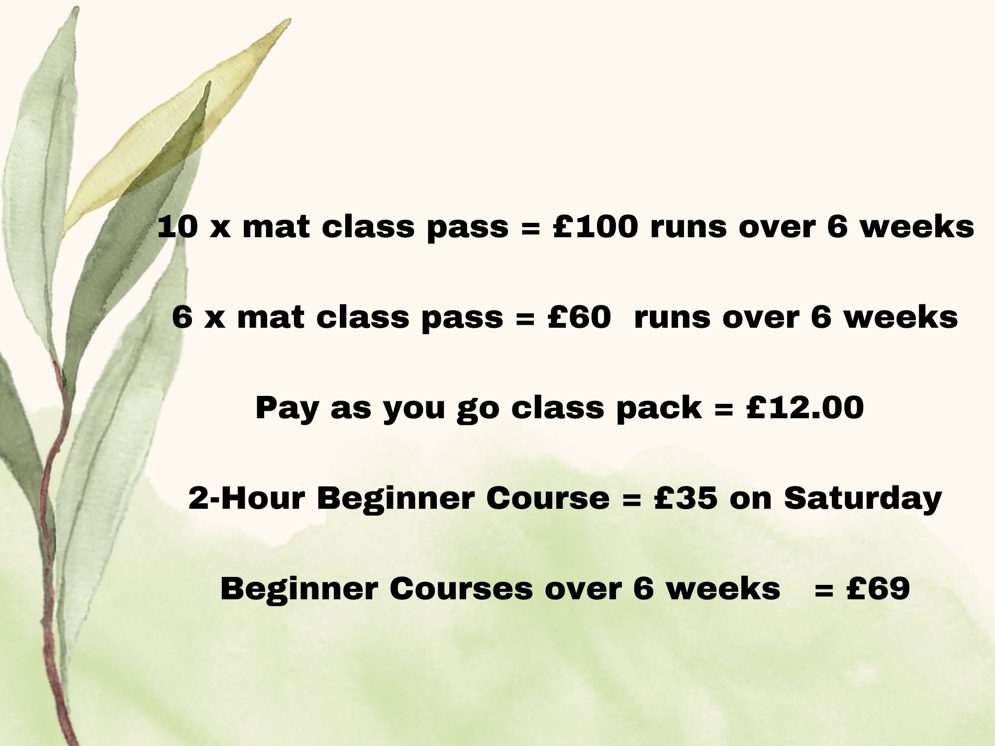 10 x mat class pass = £100 runs over 6 weeks 6 x mat class pass = £60 runs over 6 weeks Pay as you go class pack = £12.00 2-Hour Beginner Course = £35 on Saturday Beginner Courses over 6 weeks = £69 (1)