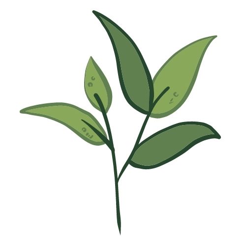 Logo (1)